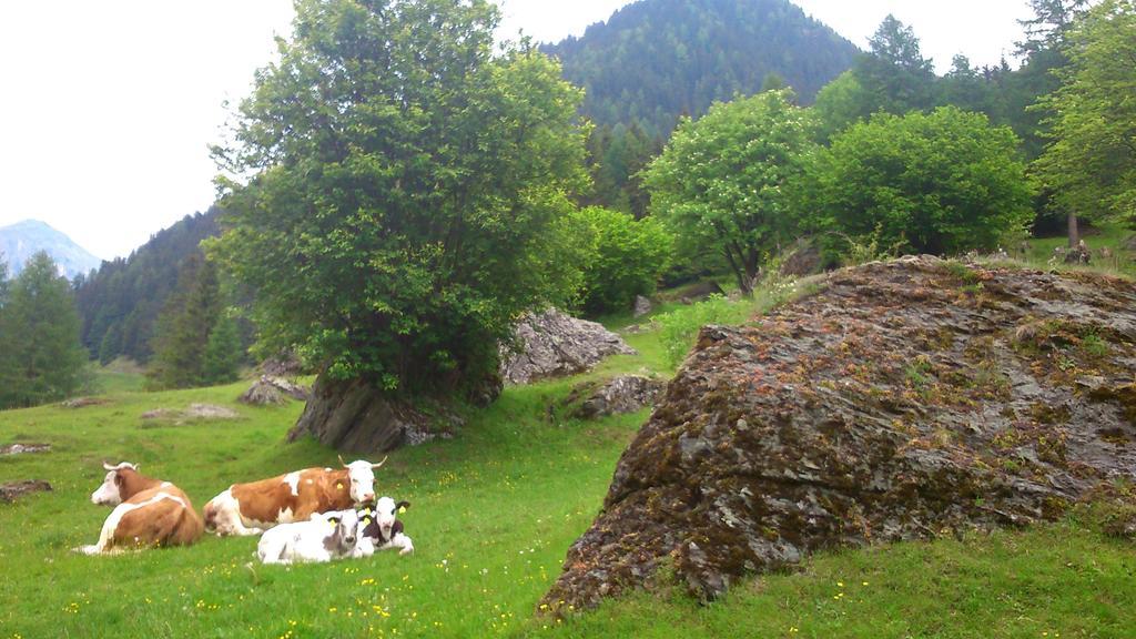 Pension Siegelbrunn B&B Малиниц Стая снимка